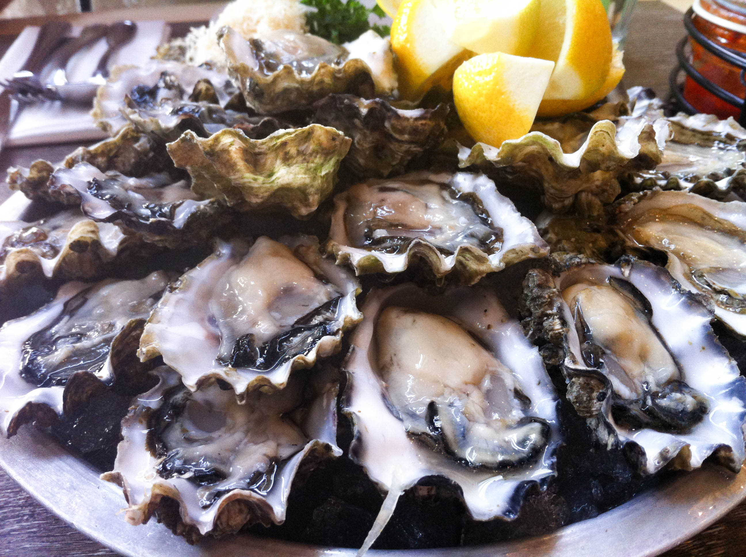 the fish shack buck a shuck oysters gastrofork
