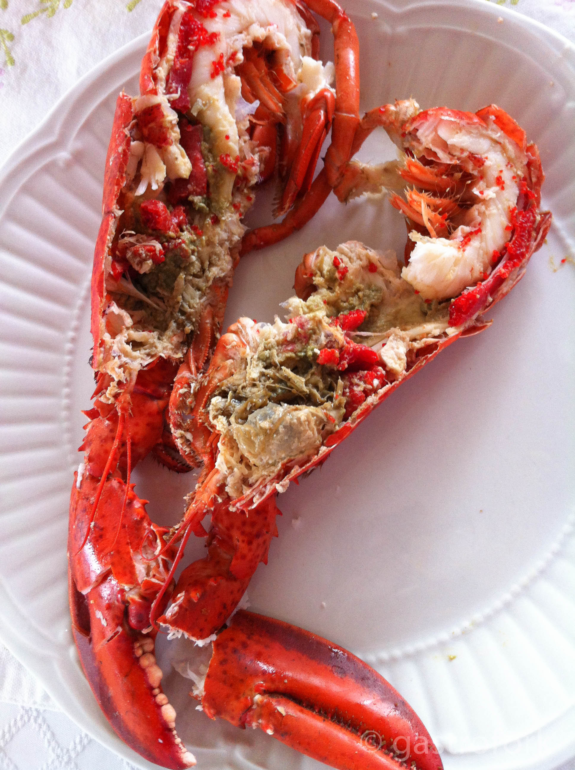 How to Cook Lobsters - Father's Day | gastrofork ...