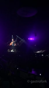mike posner demi lovato nick jonas future now tour