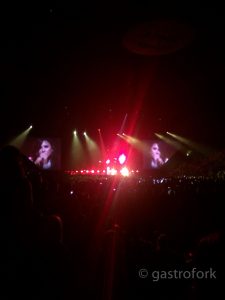 demi lovato future now tour