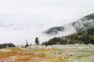 christines on blackcomb summer
